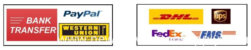 Professional and Pre-Made Disposable Tattoo Needles Supplier